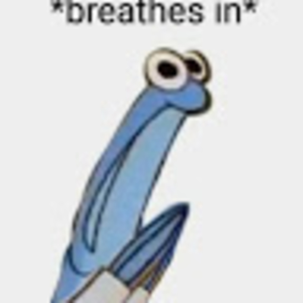 Meet your Posher, Clara